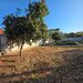 Drumul Taberei, Ghencea, ocazie, intravilan, 600 mp, P+4